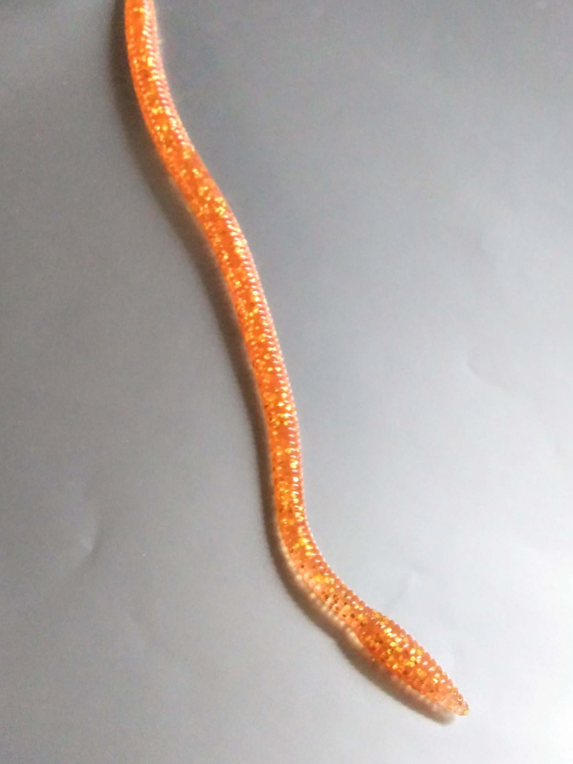 Soft plastic worm- 10 Inch you pick the color We call this 10 inch